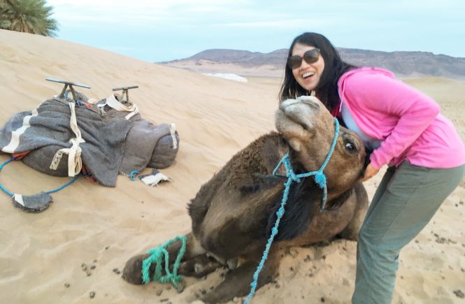 @tangoandrakija We loved our sponsored trip with @CamelSafaries 6y ago. ❤️ 🐫 🌴 🌞 berkeleysquarebarbarian.com/2017/04/23/sah…