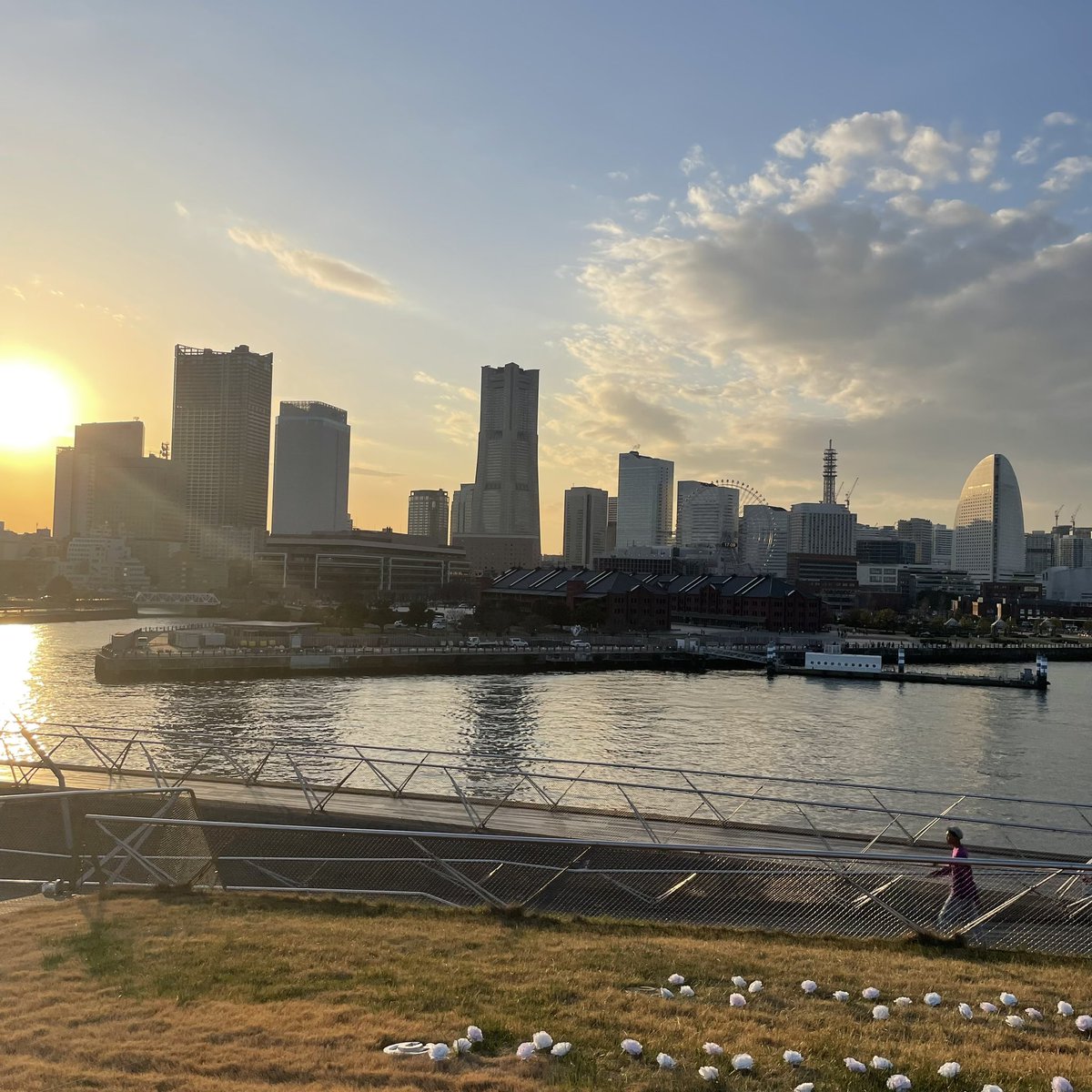 JftUe's tweet photo. うめうめ〜🌸
やっぱみなとみらい大好き https://t.co/WiBBlwUkVr