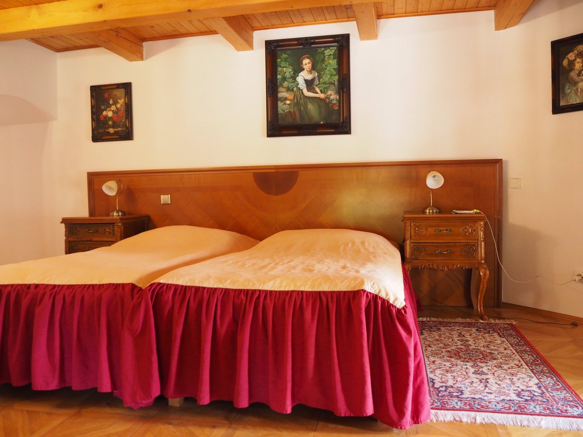 Eriy06's tweet image. WBCでチェコに興味を持ってくれた方に、私のおすすめの古城ホテルを紹介します。こんな素敵なお城に泊まれて、朝食付きで1部屋10000円くらい。

2人で泊まったから1人5000円でした。サウナとプールもあります✨
ホテルシュテクル　booking.com/Share-LIVugV

#チェコへ行こう