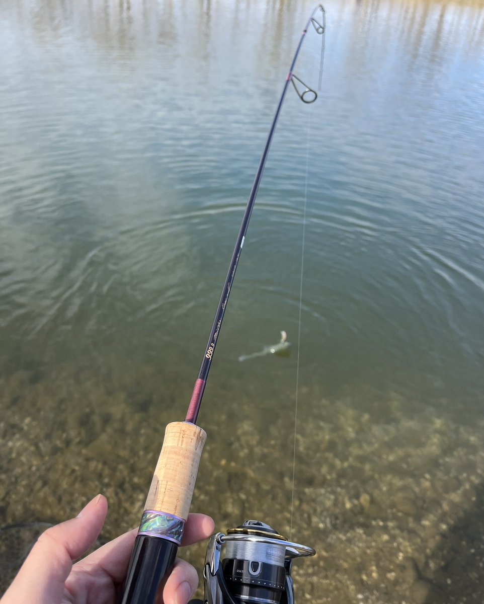 nao1210_fish's tweet photo. 今日のなら山、朝は活性が高くスプーンで
良い当たりが連発🎣
63M-trzの入魂も完了🙂
なら山の元気な魚もしっかり寄せながら曲がりも気持ち良くてお気に入りになりました✨
パンマッチなどしながら楽しい1日でした😁
ご一緒した皆さんありがとうございました🙇♂️
#グレイウルフ
#63M-trz https://t.co/kF5L6QaF02