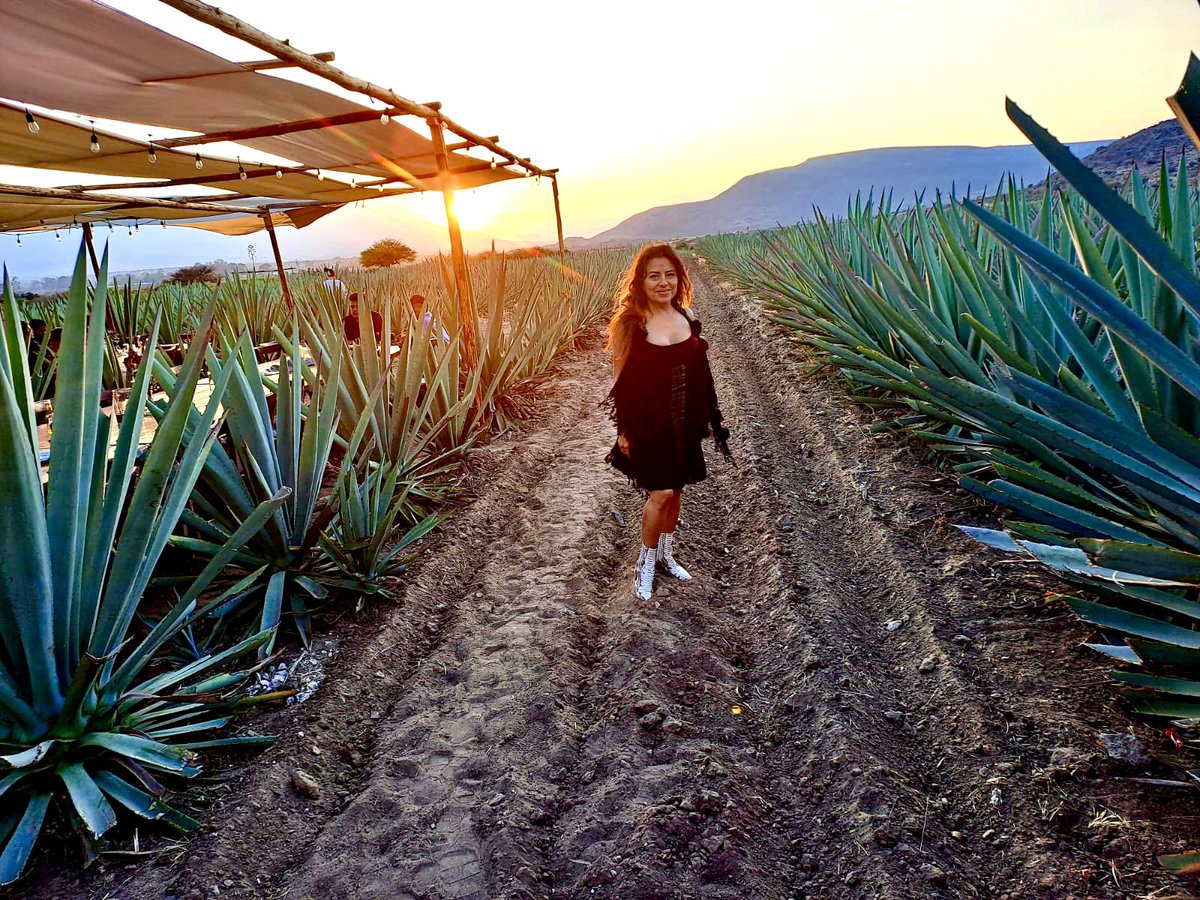 fabi_artetextil's tweet photo. Buen día 😃🌞! Así se amanece en #Mitla @PuebloMagicoAC ! #AmoOaxaca ! https://t.co/5YKs3bsK4d