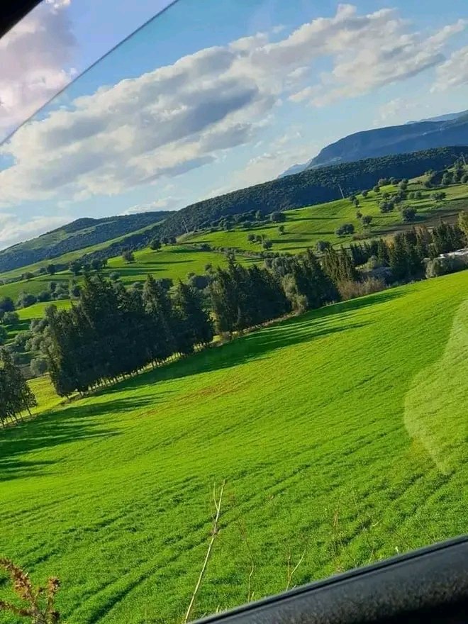 المحيطات الفلاحية بولاية قالمة
#الجزائر