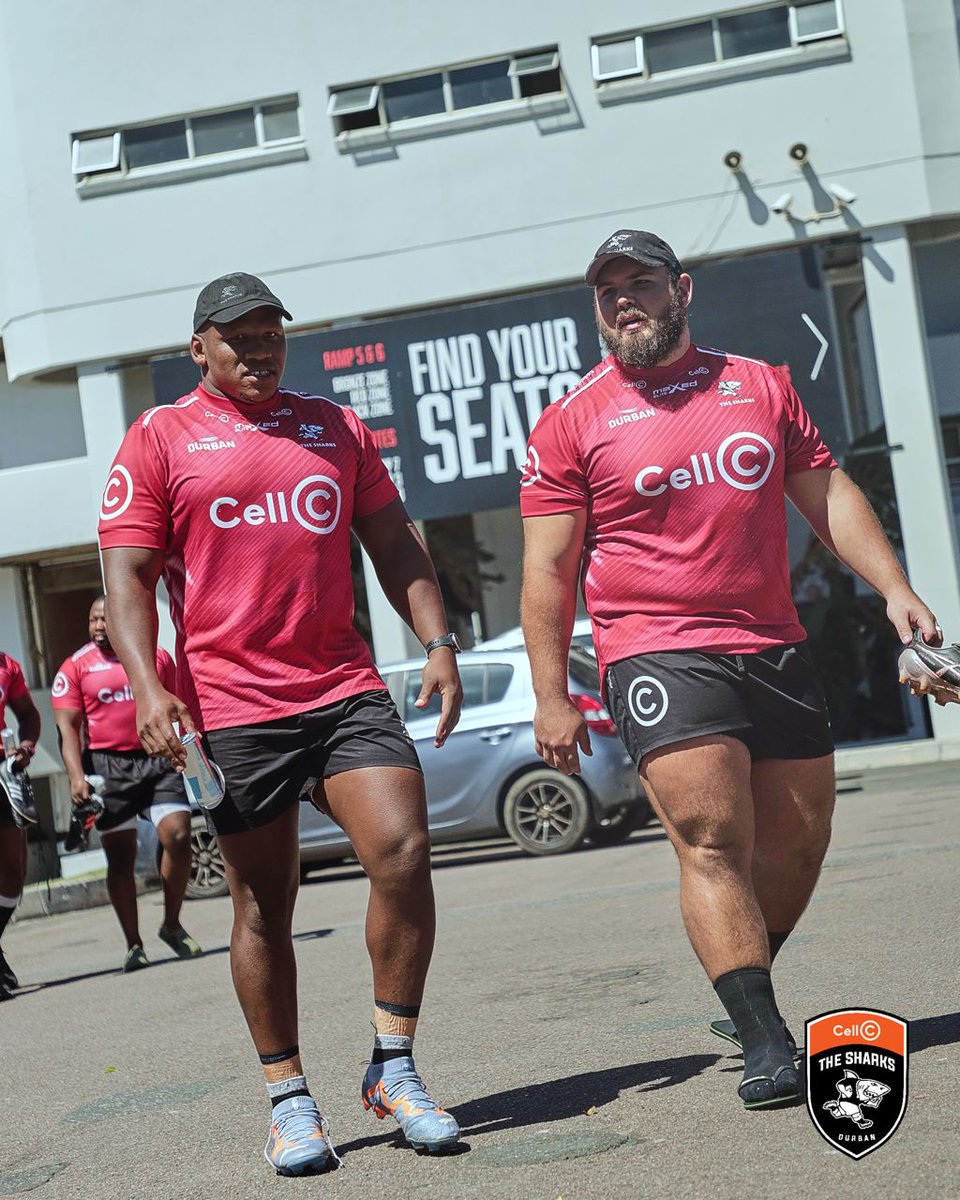 Some familiar faces 👋

#FearTheFin