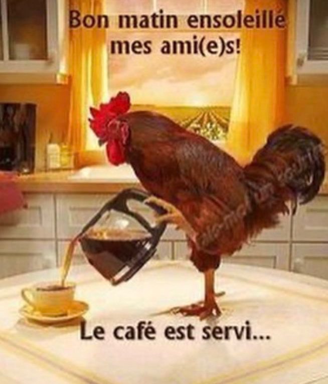 Artaud (@porclown) on Twitter photo 