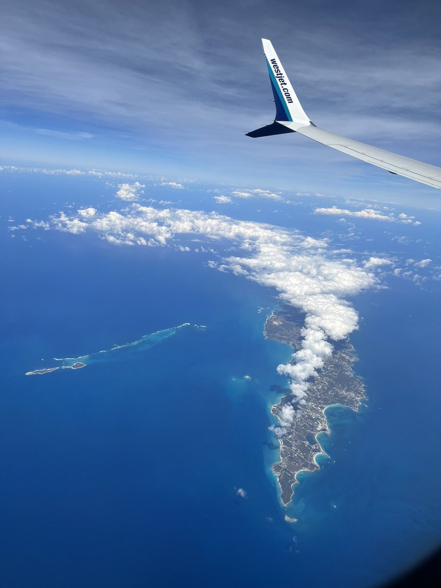 R Griffith tweet media