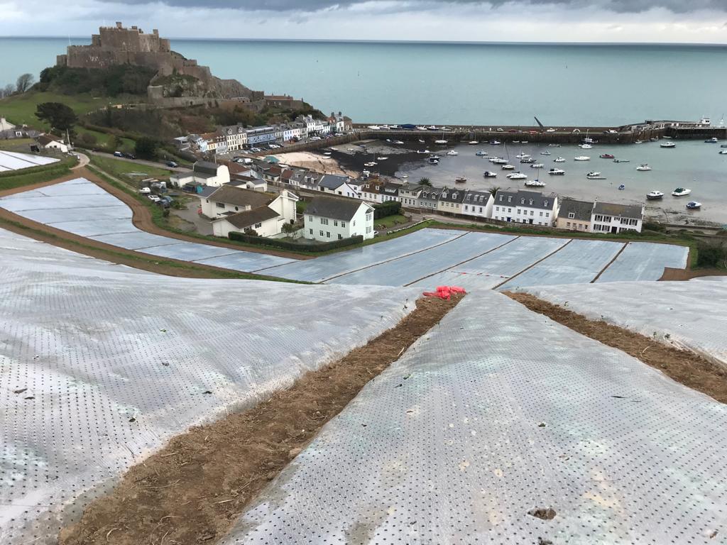 Produce Solutions tweet media