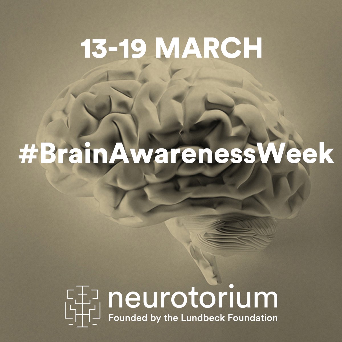 neurotorium's tweet photo. It’s #brainawarenessweek! 🧠
At https://t.co/0RDu5qVnNL, we encourage you to join events, share knowledge or use this perfect opportunity to learn more about #Alzheimers, #Parkinsons, #Depression, #Migraine, #Schizophrenia or #Substanceusedisorders. 
#baw https://t.co/onrOIB5WYu
