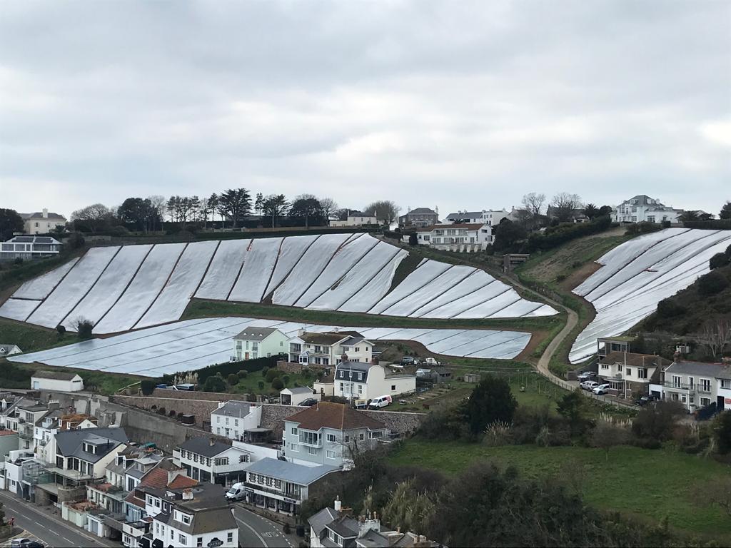 Produce Solutions tweet media