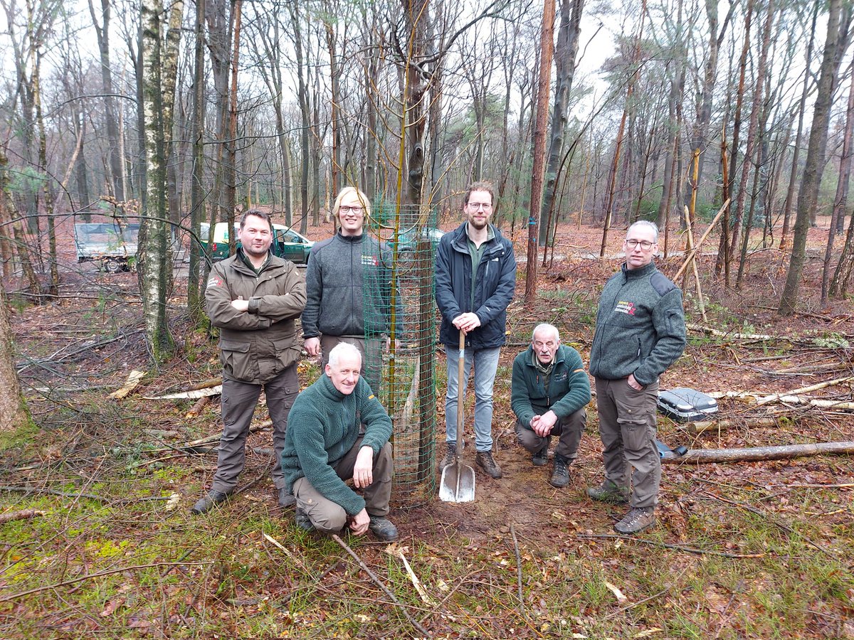 roy_mes's tweet photo. De #sysselt is weer een lindeboom rijker! 🌳 Vanochtend heeft oud-beheerder @ReneVisser_nl, onder toeziend oog van team Wekerom, zijn afscheidscadeau een mooi plekje gegeven. #glk #Ede https://t.co/HbYS2vp62F