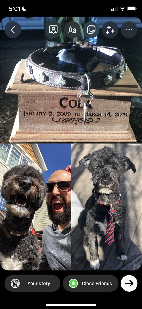 thedjkav's tweet photo. Miss you everyday @Colabutt #ColaStrong β€οΈπΎ #rainbowbridge https://t.co/m3FUNphuje