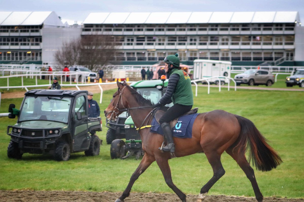 tuvastables's tweet photo. On track this morning #themodelkingdom #pinkerton #affordalefury #beaconedge Emma Murray, @eoinwalsh5536 @92bryan92 @emmacbutch #Cheltenham2023 #noelmeaderacing #tuvastables https://t.co/1HvXugsrvP