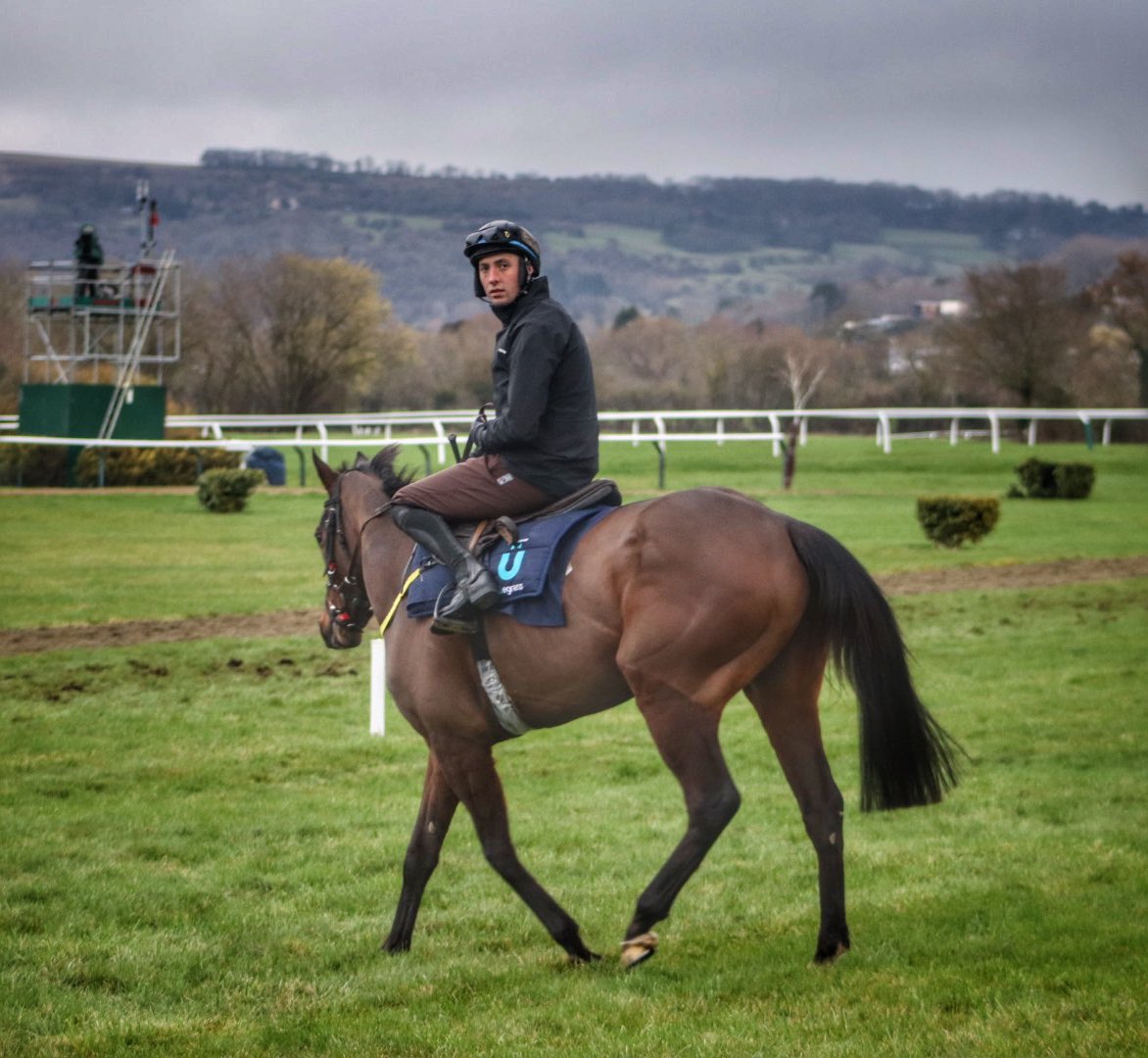 tuvastables's tweet photo. On track this morning #themodelkingdom #pinkerton #affordalefury #beaconedge Emma Murray, @eoinwalsh5536 @92bryan92 @emmacbutch #Cheltenham2023 #noelmeaderacing #tuvastables https://t.co/1HvXugsrvP
