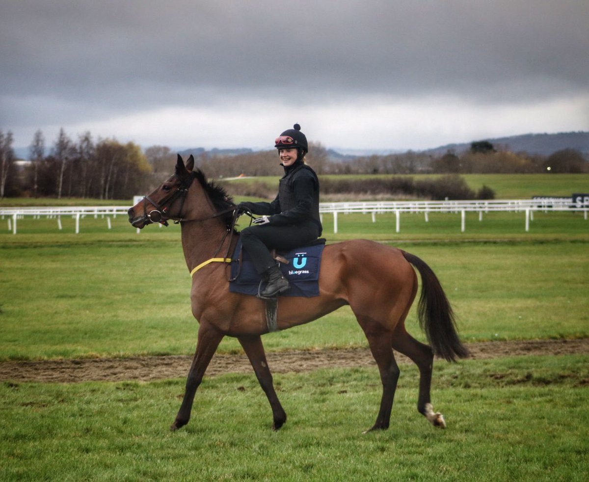 tuvastables's tweet photo. On track this morning #themodelkingdom #pinkerton #affordalefury #beaconedge Emma Murray, @eoinwalsh5536 @92bryan92 @emmacbutch #Cheltenham2023 #noelmeaderacing #tuvastables https://t.co/1HvXugsrvP