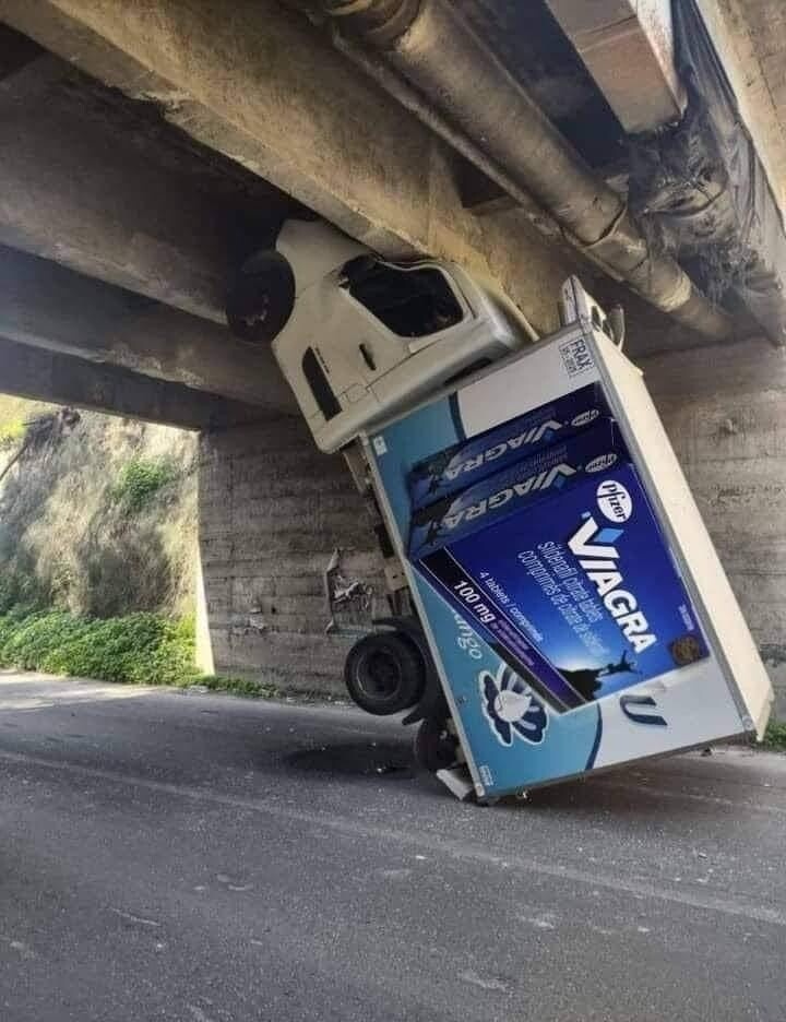 shitpostverdade's tweet photo. https://t.co/dlpzONZkqZ