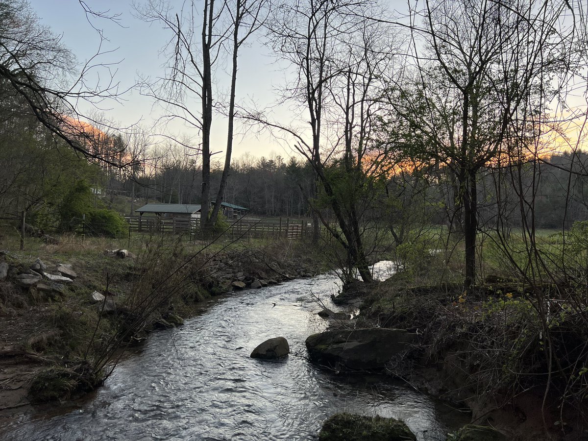 amyquill's tweet photo. Good morning 🌅🌅🌅#northgeorgiamountains #blueridge #sunrise https://t.co/pgJ4tjvmYF