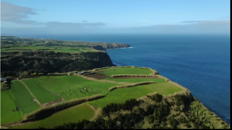 THEIALX's tweet image. #Azores. Green wonder of Atlantic
1 Jun 2021

Anton somewhere
Extremely green and isolated place, unique climate, ecstatic scenery. 
We travel to #SanMiguel, #Faial, #FloresIslands, see what largest endemic collection of plants, birds in world looks like.

youtu.be/-z7_Dq_aGoA