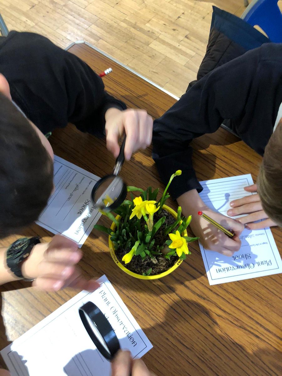 Shalford Primary tweet media