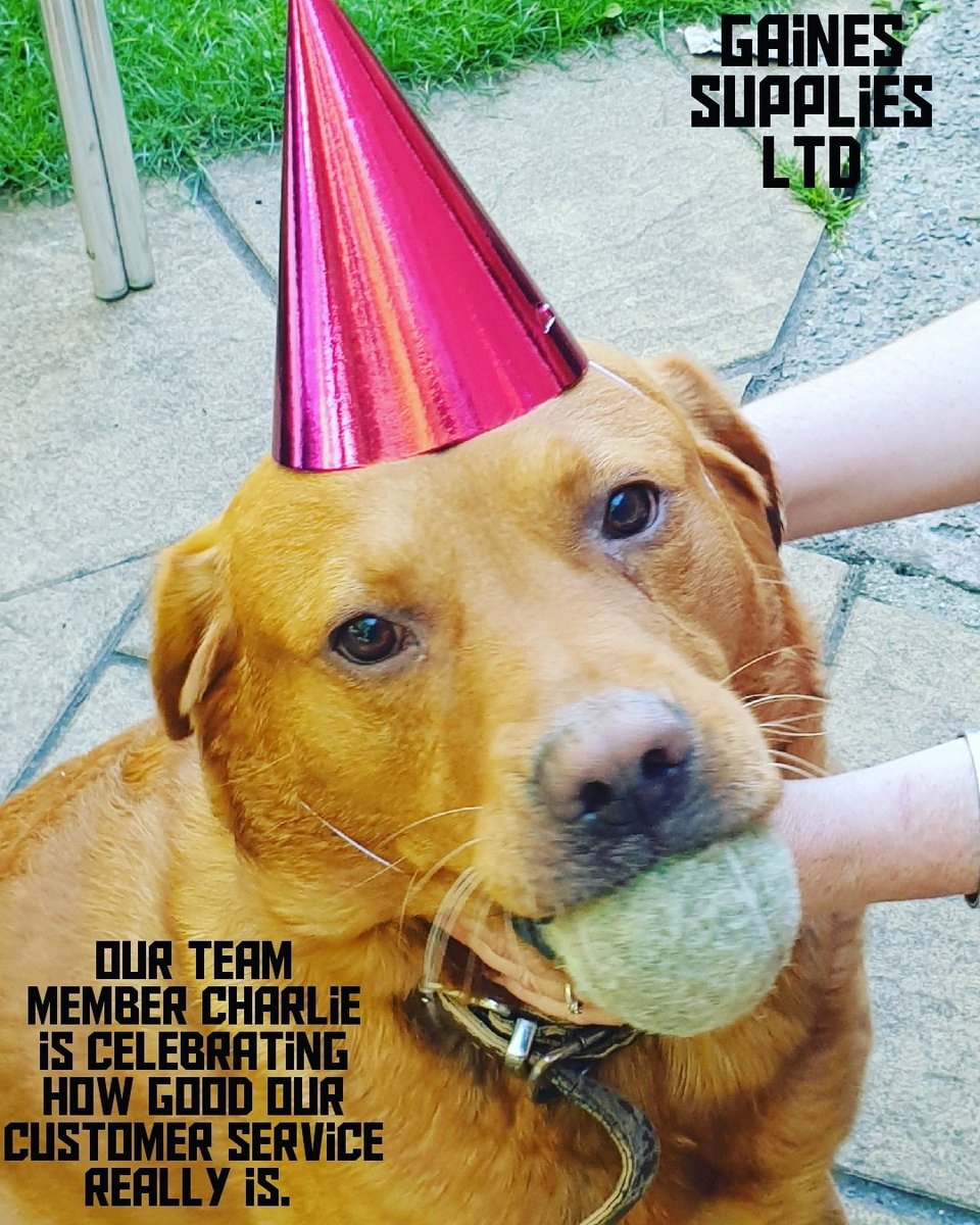 Gaines Supplies tweet media