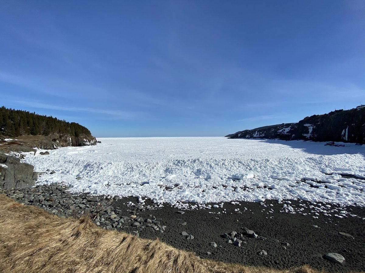 AllisonKing709's tweet photo. And the view from Middle Cove today. https://t.co/XASI89sJt6