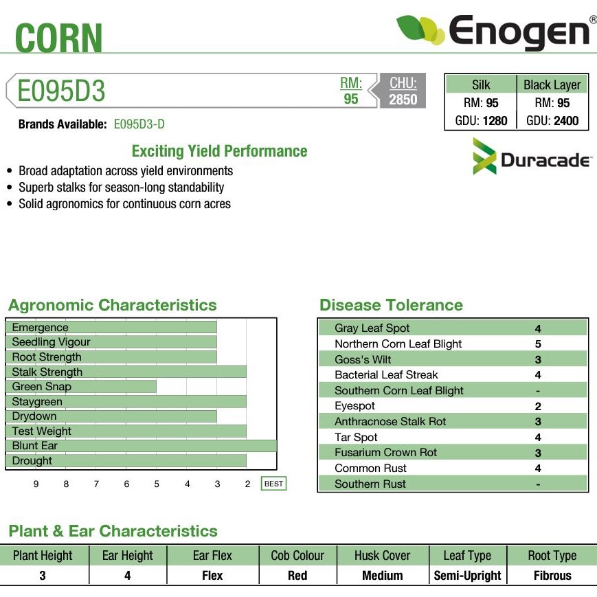Find the right <a href="/EnogenCanada/">Enogen™</a> corn hybrid for your operation, like E095D3 (CHU 2850 | RM 95) 

✅Broad adaptation across yield environments
✅Superb stalks for season-long standability
✅Solid agronomics for continuous corn acres

Learn more: bit.ly/3F5lTJw