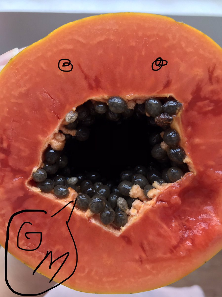 Gm Icons!
Have a tasty Thursday 👅