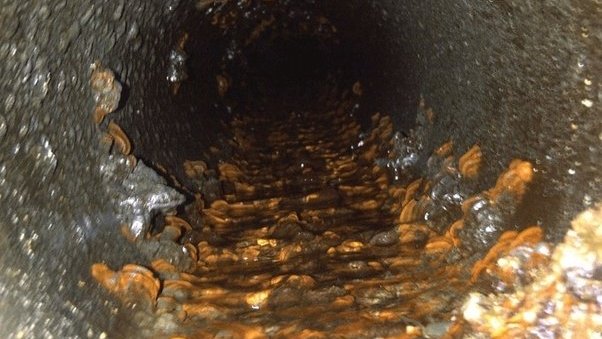 StirlingWisdom's tweet image. Drinking tap water is harming your health.

Here are 6 reasons why you should stop drinking unfiltered tap water: