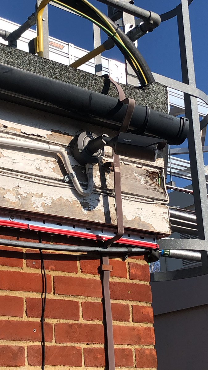 SAES Ltd tweet media