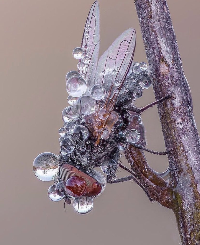 TRA (@tra_tra___) on Twitter photo 