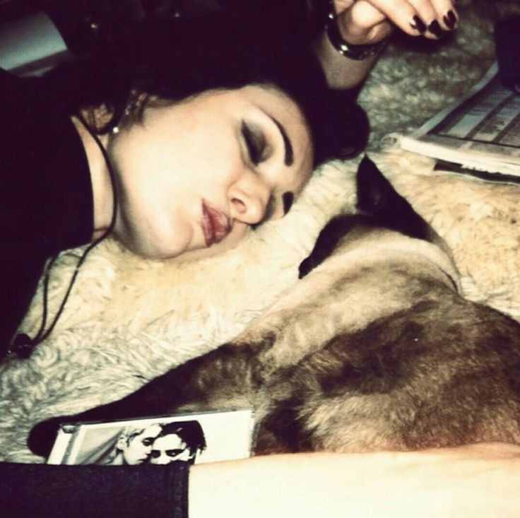 BansheesDaily's tweet photo. Siouxsie with a kitten 🖤 https://t.co/vc3mwMXAGl