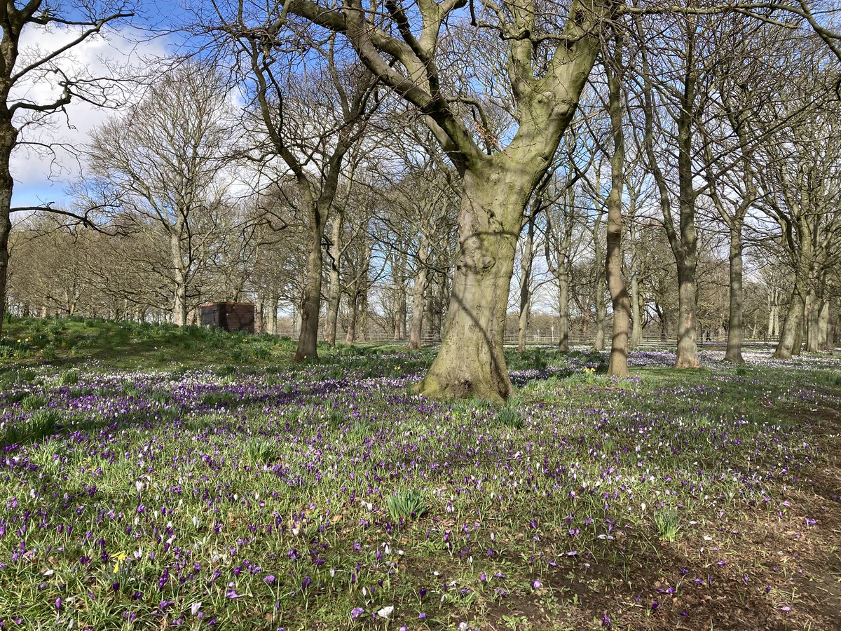 Yvonne Hardman tweet media