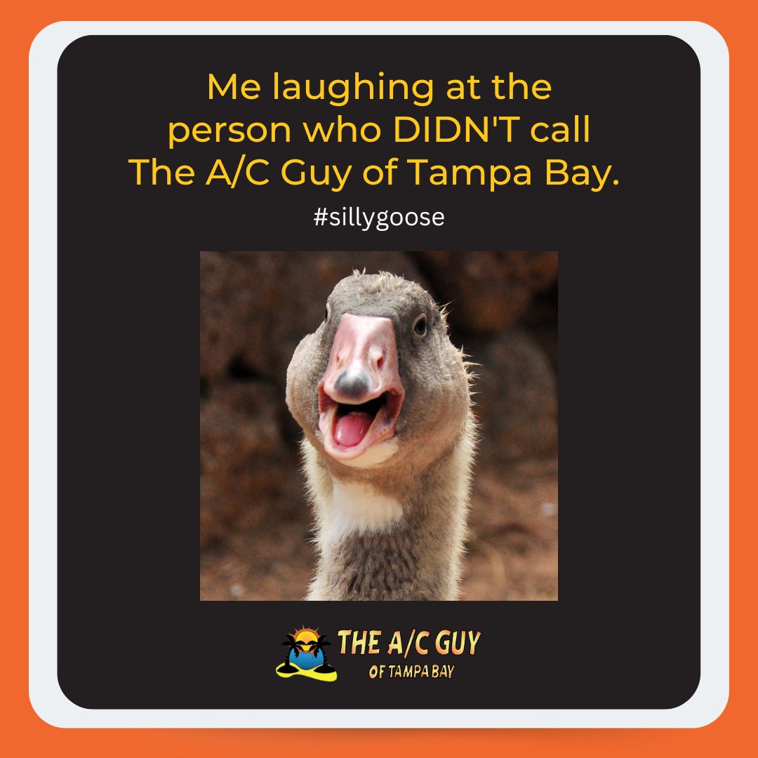 TheACGuyofTampa's tweet image. Don't be a silly goose! Call the A/C Guy of Tampa Bay for all your HVAC needs!
Contact us today!
☎️ Call 727-361-2215
#ACproblems #TampaBayHVAC