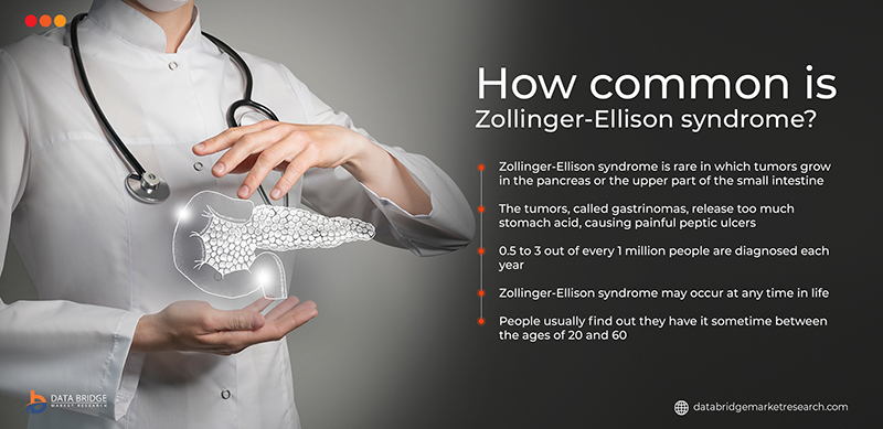 DBMROfficial's tweet photo. #Gastrinomas are uncommon tumors that develop in the #pancreas or intestine due to Zollinger-Ellison syndrome. The hormone gastrin, which causes your stomach to generate gastric acid, is released by gastrinomas. 

#DBMR #smallintestine #intestinecancer #pancreaticcancer https://t.co/I3pKwRGmur