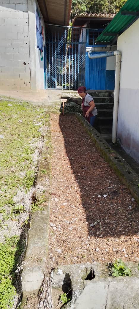 Cnae_tachira tweet media