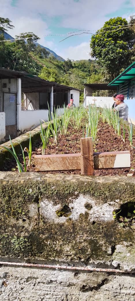 El PAE transforma vidas a través de las manos y el corazón, fomenta la educación del futuro, esa que abre nuestros ojos e incluye sin distinción
<a href="/_LaAvanzadora/">Yelitze Santaella</a> <a href="/cnaeoficial/">cnaeoficial</a> <a href="/FontalvoCNAE/">Jesús Fontalvo</a> <a href="/NicolasMaduro/">Nicolás Maduro</a> <a href="/pedrodiazg59/">Pedro Diaz</a>