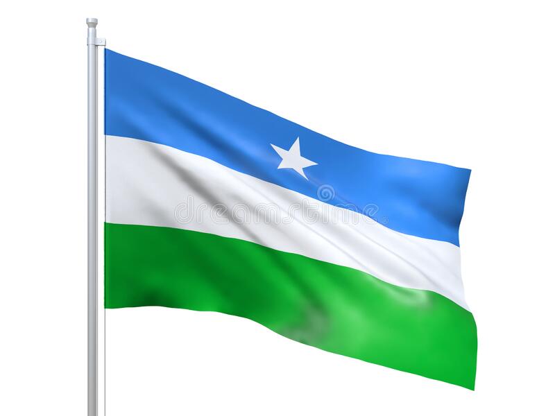 Local Gov Somalia tweet media