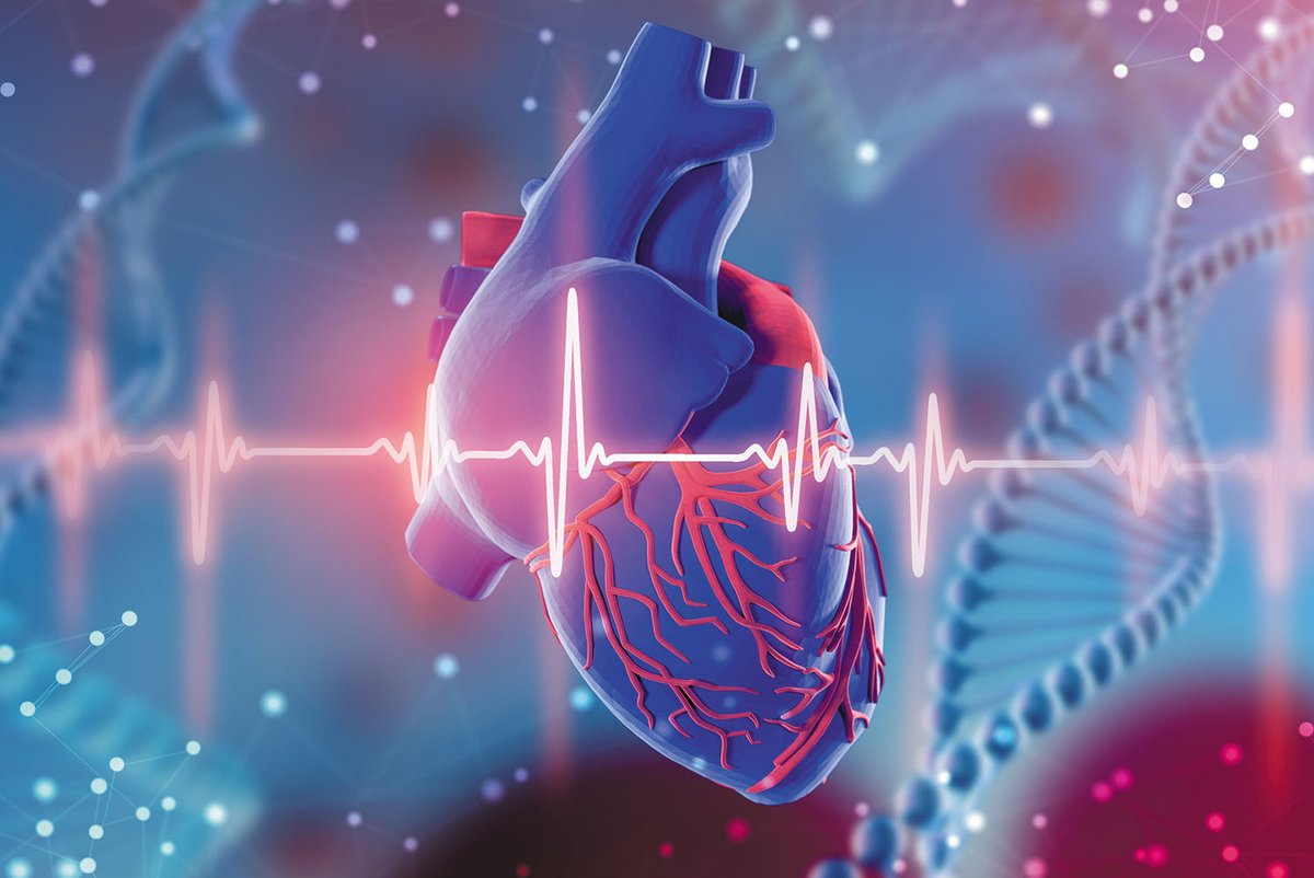 Gene Therapy (@genetherapy_sn) on Twitter photo Online <a href="/OUPAcademic/">Oxford Academic</a> scientists <a href="/BristolUni/">University of Bristol</a> report #genedelivery of a #longevity-associated variant of the BPIFB4 gene reverses the decline of #heart performance in #aged animal models. #GTInTheWorld
📸: ©iStock
doi.org/10.1093/cvr/cv… Online <a href="/OUPAcademic/">Oxford Academic</a> scientists <a href="/BristolUni/">University of Bristol</a> report #genedelivery of a #longevity-associated variant of the BPIFB4 gene reverses the decline of #heart performance in #aged animal models. #GTInTheWorld
📸: ©iStock
doi.org/10.1093/cvr/cv…