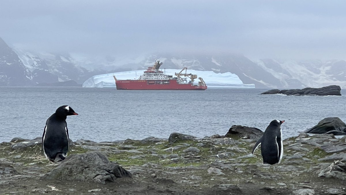 BAS_News's tweet image. Yesterday the #SDAScience expedition closed Signy Station for the winter and picked up the station team. Next stop is the Falkland Islands!