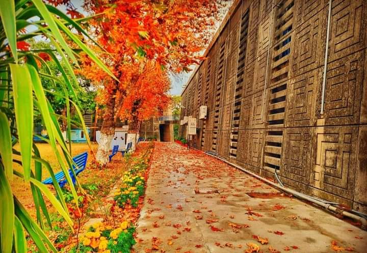 Sadaf_Ayub21's tweet photo. یہ رنگ پھر لوٹ آئینگے♥️.                      
#restore_academic_activities
#SaveQAU 
#RestoreQuaidians https://t.co/1I51Qwh8JF