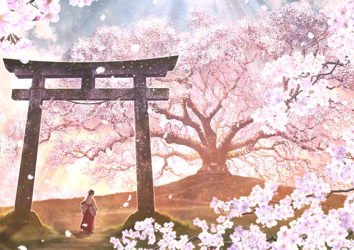 「#桜の作品でTLにも桜を咲かせましょう 東京では今日、開花宣言が出たみたいですね」|Kupeのイラスト