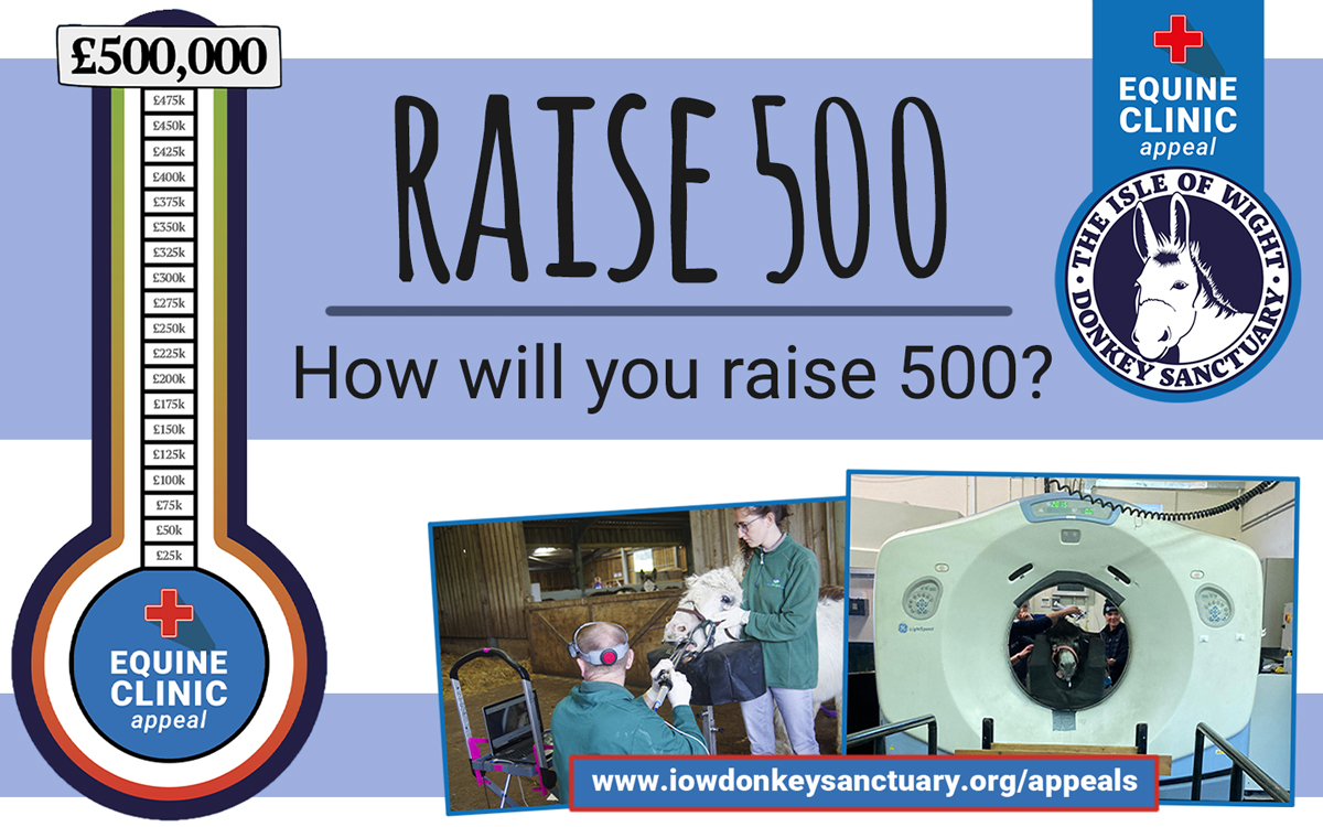 Help us raise funds for our Equine Clinic! You can raise 500 pounds, or 500 pennies, walk 500 miles, or sell 500 cupcakes, completely up to you!
For fundraising materials visit: iowdonkeysanctuary.org/fundraise
#fundraising #equineclinic #equineclinicappeal #IsleofWight #donkeysanctuary