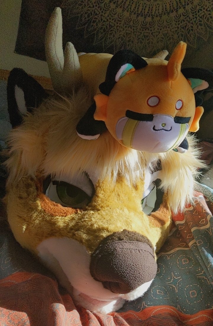 aaaaa my longboi is here and lookin so long @dont_jinxit thankyouthankyou https://t.co/BgoIJpMX62