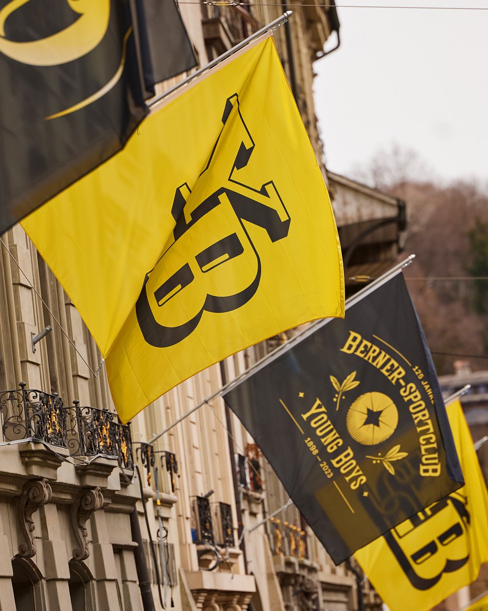 BSC YOUNG BOYS tweet media