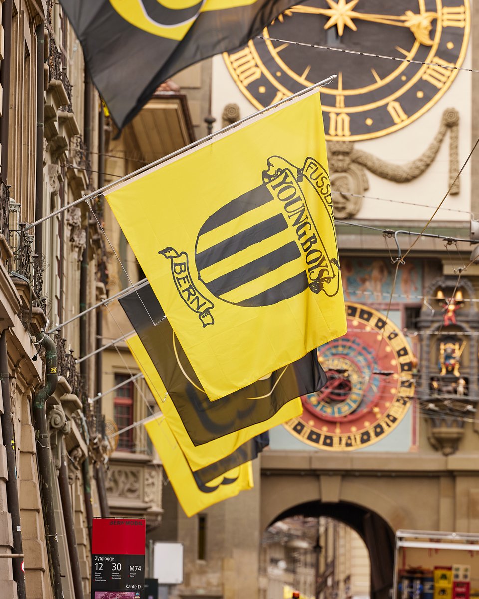 BSC YOUNG BOYS tweet media