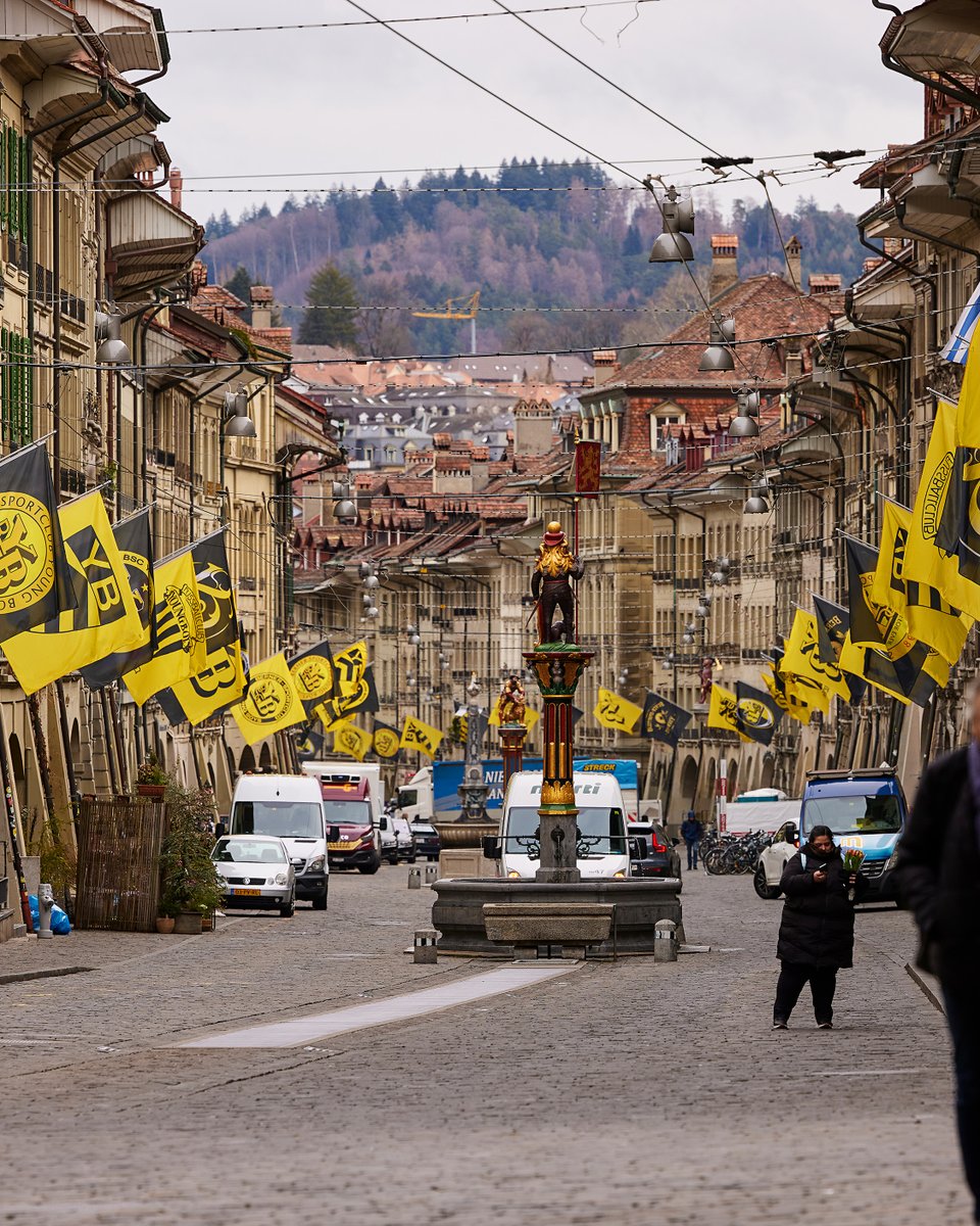 BSC YOUNG BOYS tweet media