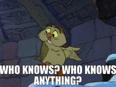 Infinitely Irrational tweet media