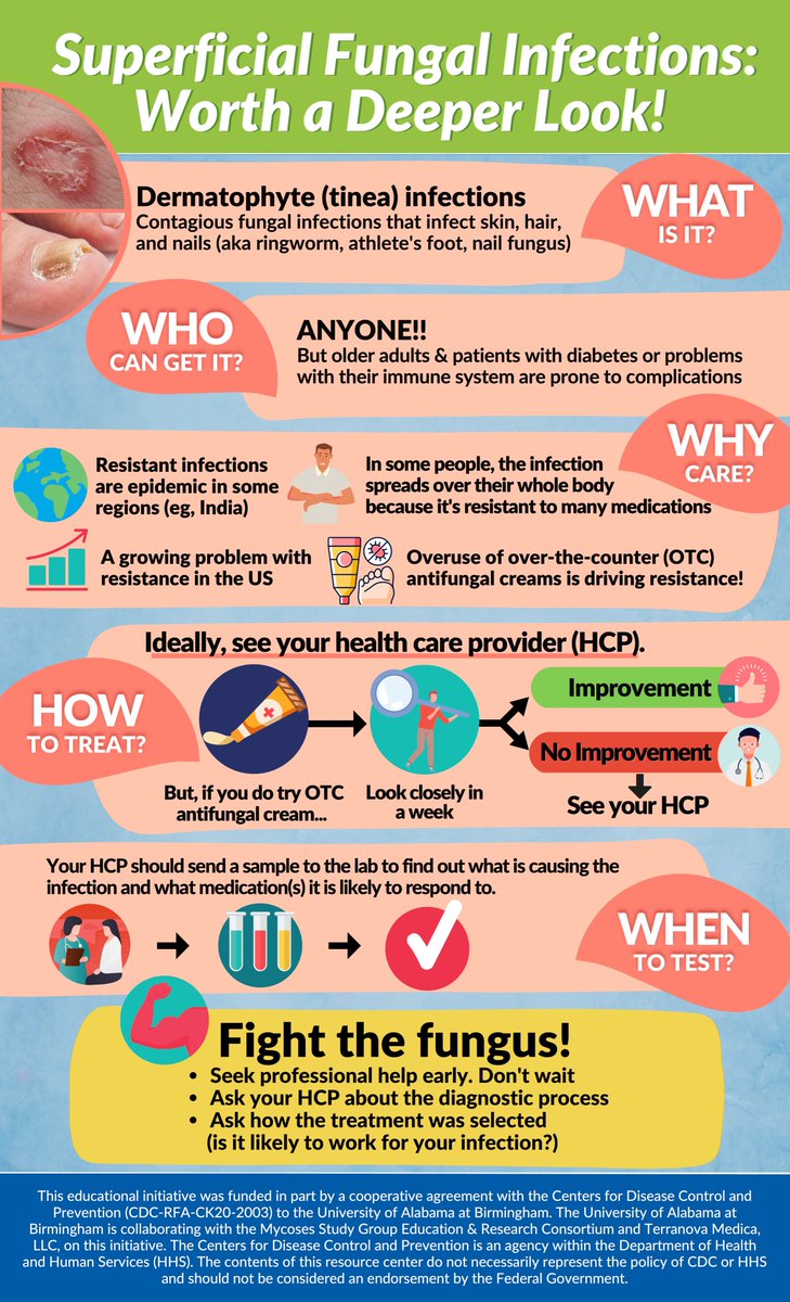 MSG_ERC's tweet photo. 🆕 downloadable @MSG_ERC #Infographic 

Superficial fungal infections: worth a deeper look!

#dermatophyte #dermatology #FungalInfection 
https://t.co/w4CpB79aWi https://t.co/T8dL8n2X6n