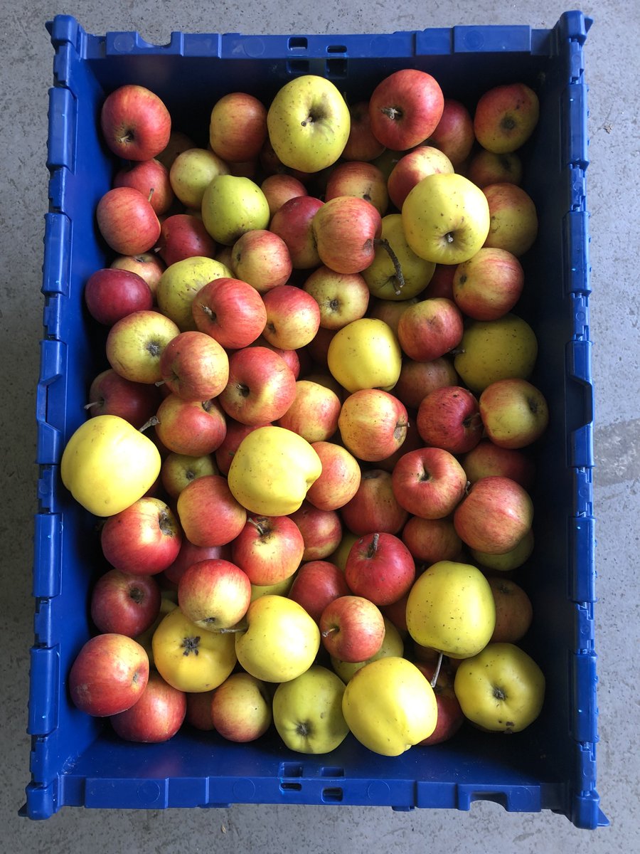 TheFoodWorksSHF's tweet photo. We have started receiving our first donations of food grown in Sheffield allotments for our #Growarow scheme!
A big thank you to Chris from Grimesthorpe allotment and Bridget from Wortley Walled Garden π
Sign up and join our scheme today! π
https://t.co/RoHTQVcaN1 https://t.co/t8xoOQq9S7