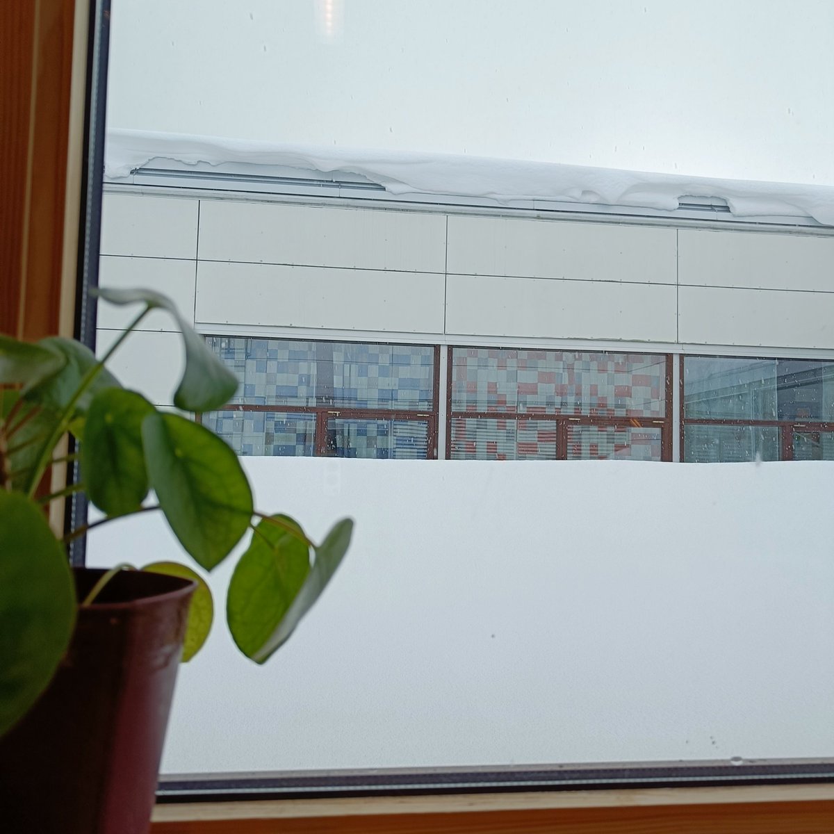 ZaneDatava's tweet image. Just a bit of window left, before snow will take over #climate #north #environment #histories