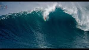 Get your surf boards $oDOGE community! We about to ride the biggest bull run and ordinal waves of our lives 🔥💯

#btc #ordinals #bullrun #lfg #meme