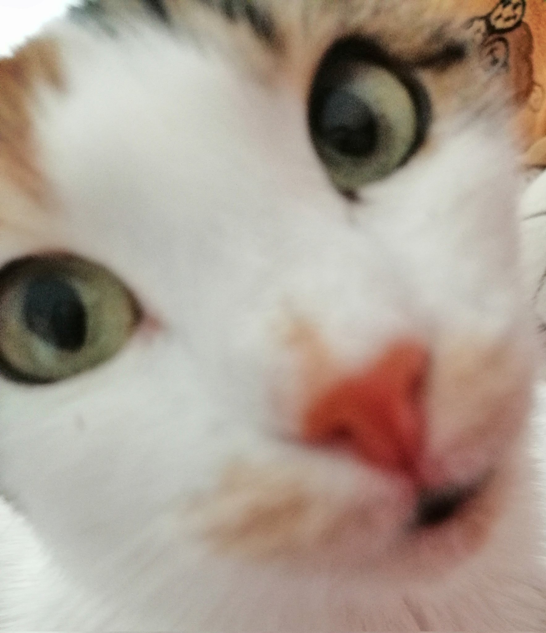 x'Cloud ♡ Blade's bf on Twitter: "When im huh? im wuh https://t.co ...